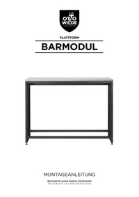 Montageanleitung Barmodule